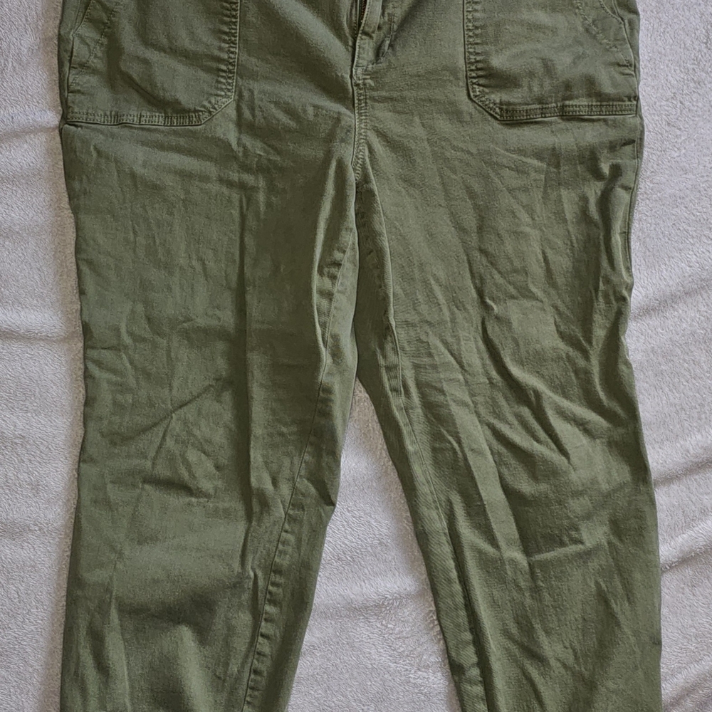 Torrid Men's Cargo Pants in Olive